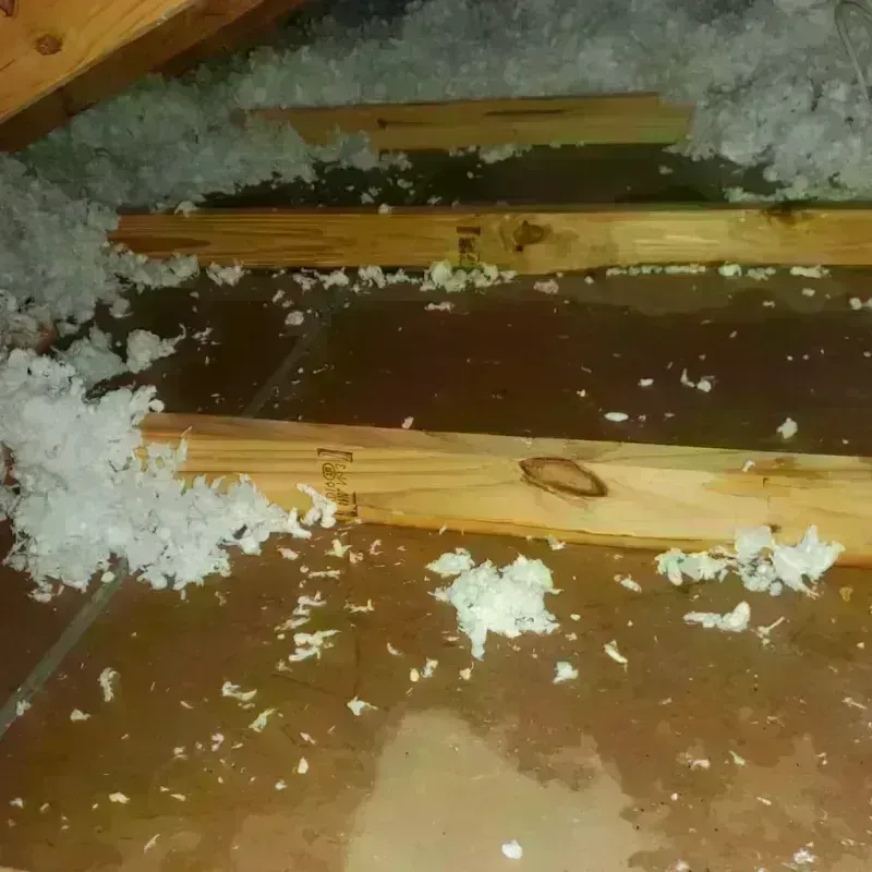 Attic Water Damage in Victoria, MN