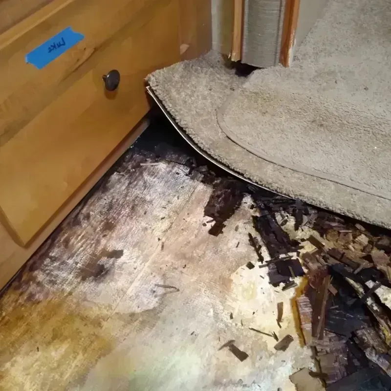 Wood Floor Water Damage in Victoria, MN